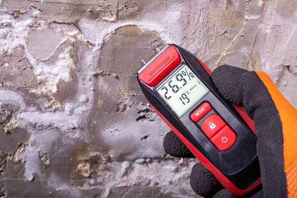 Best Office Mold Removal Services  in St Joseph, MN