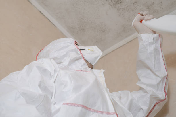 Best Crawl Space Mold Removal  in St Joseph, MN