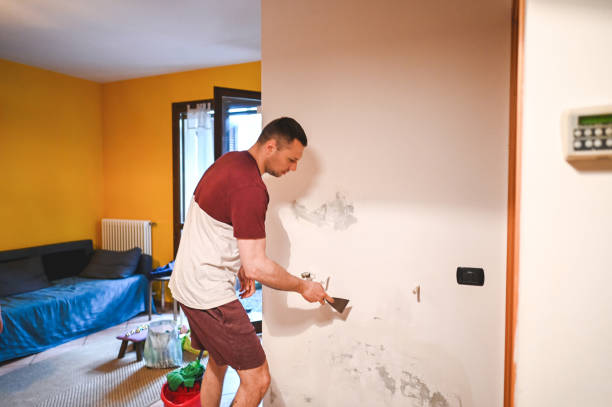 Trusted St Joseph, MN Mold Removal Experts